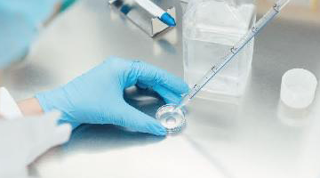 國盛產(chǎn)投寶山藥谷｜上海盛羅生物醫(yī)藥開發(fā)有限公司